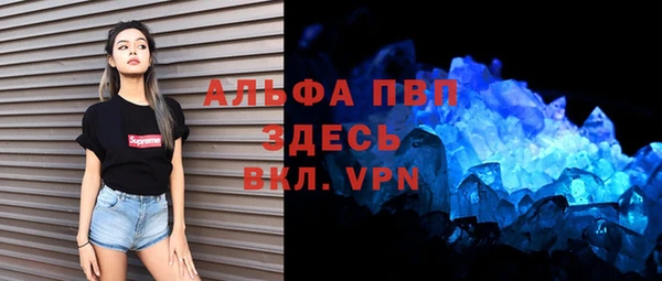 ПСИЛОЦИБИНОВЫЕ ГРИБЫ Белокуриха
