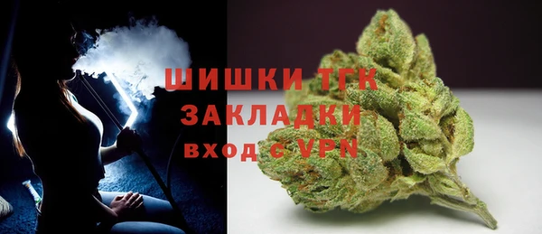 ПСИЛОЦИБИНОВЫЕ ГРИБЫ Арсеньев