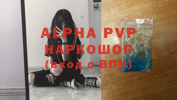 ПСИЛОЦИБИНОВЫЕ ГРИБЫ Белокуриха