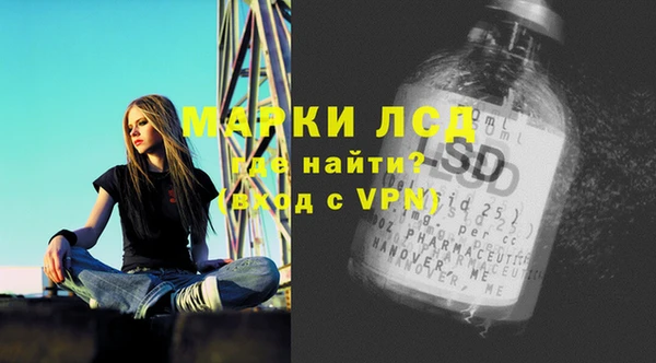 спиды Богородицк
