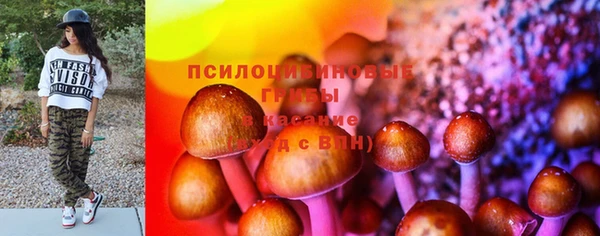 спиды Богородицк