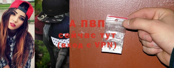 спиды Богородицк