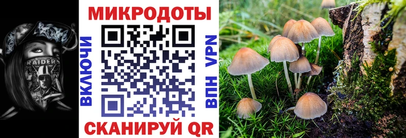 Псилоцибиновые грибы прущие грибы  сайты даркнета формула  Горнозаводск  даркнет сайт 